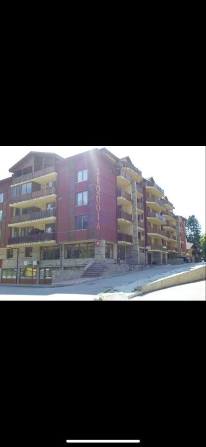 Borovets Home Sequoia Zewnętrze zdjęcie